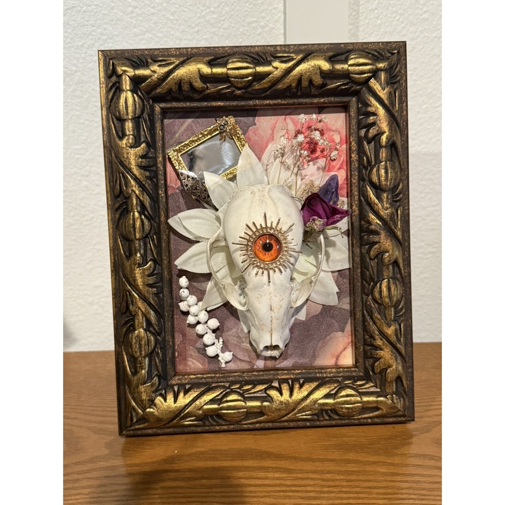 Framed Raccoon Skull Art Witchy Gothic Fairycore Oddities‎ Curiosities